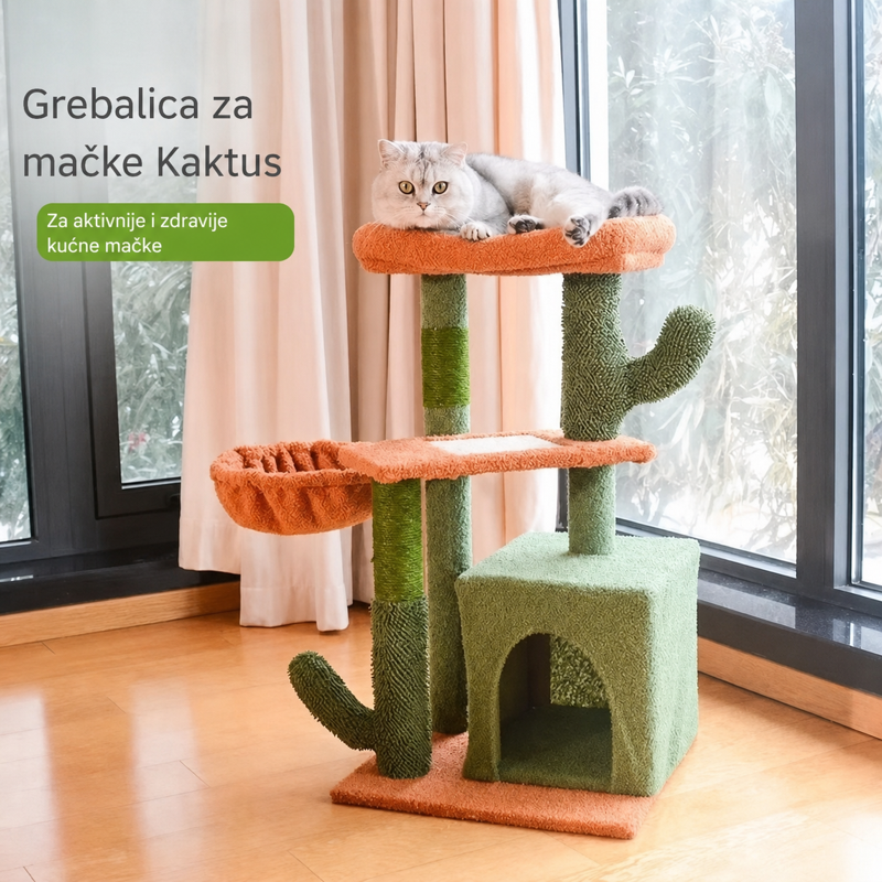 Kaktus Oaza — prikaz 2 od 6