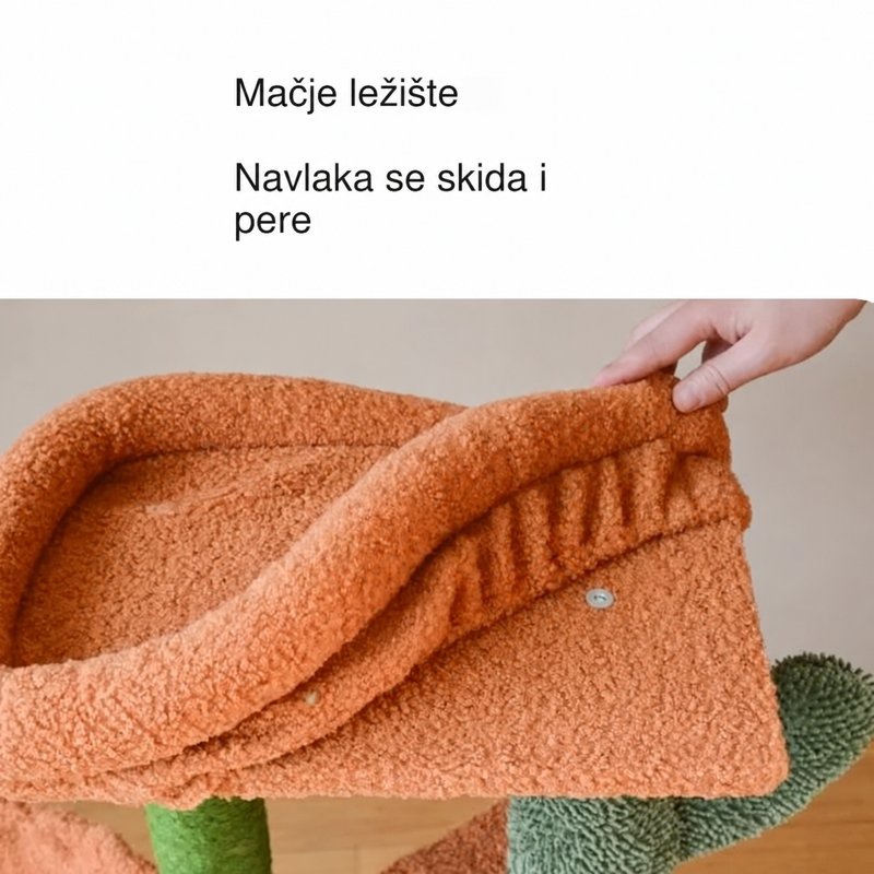 Kaktus Oaza — prikaz 3 od 6