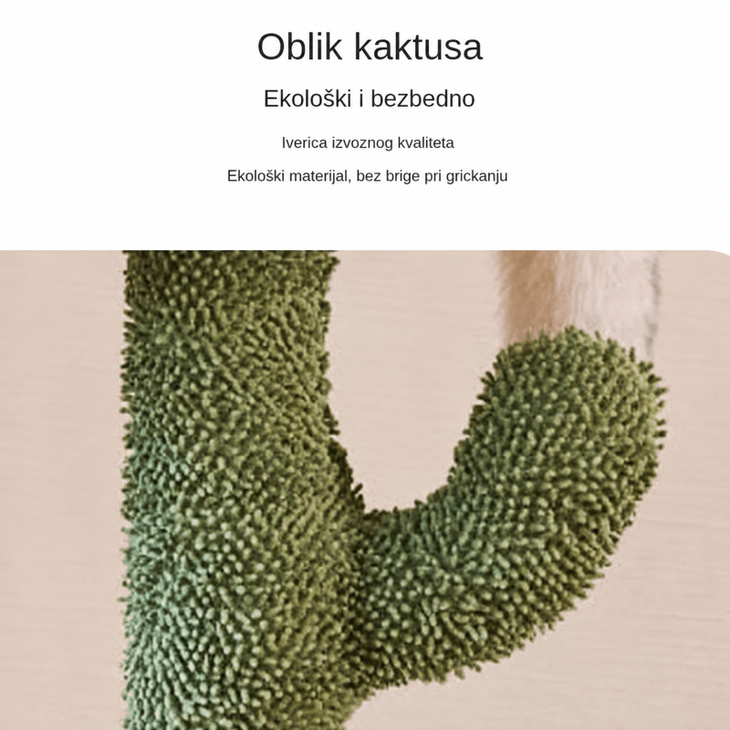 Kaktus Oaza — prikaz 4 od 6