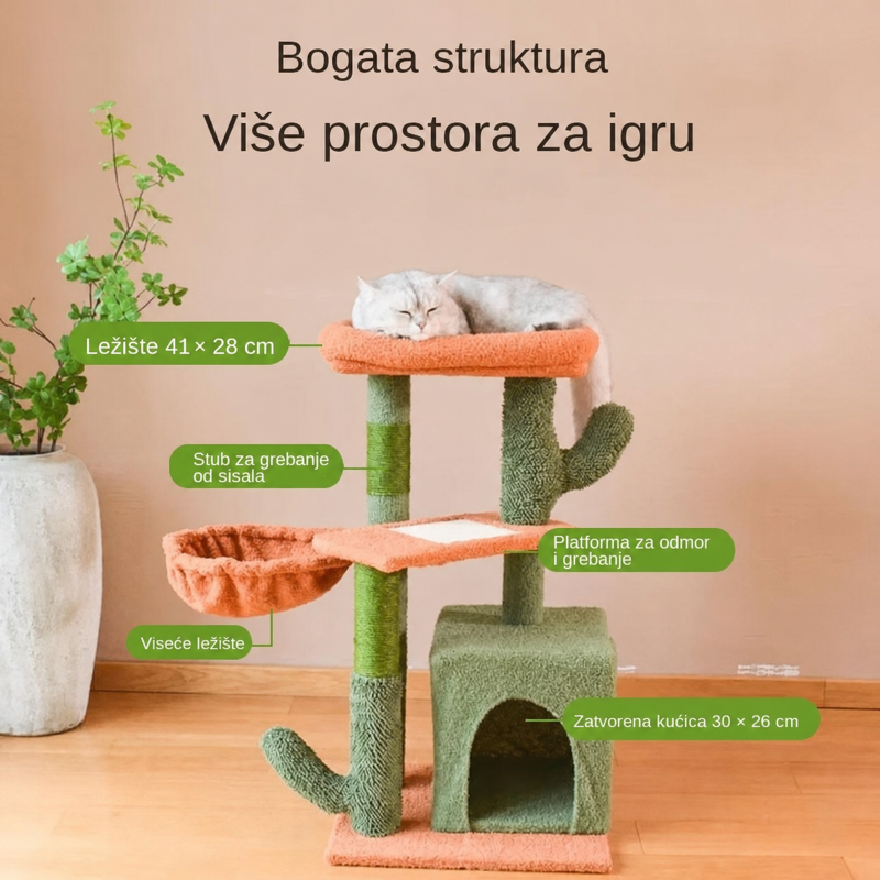 Kaktus Oaza — prikaz 5 od 6