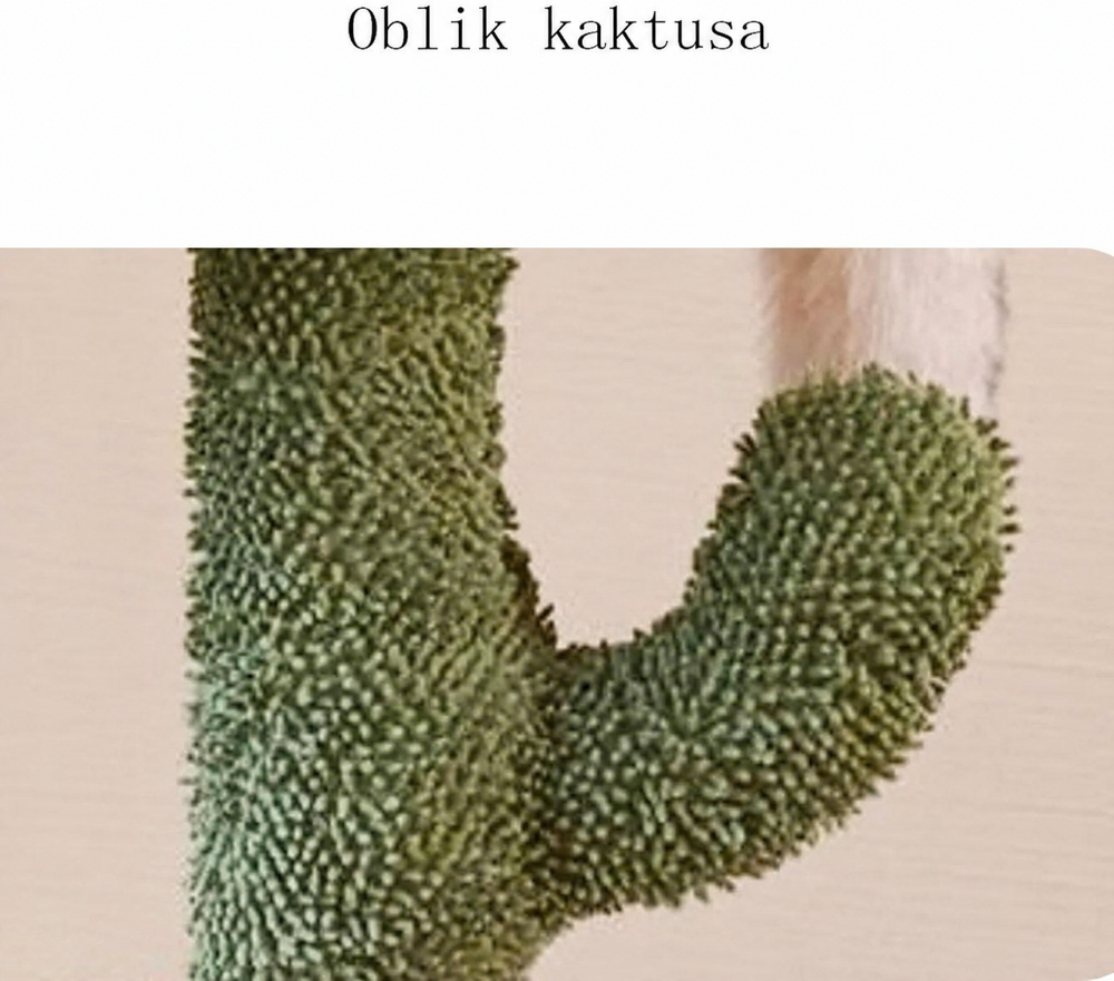 Kaktus Oaza — prikaz 6 od 6