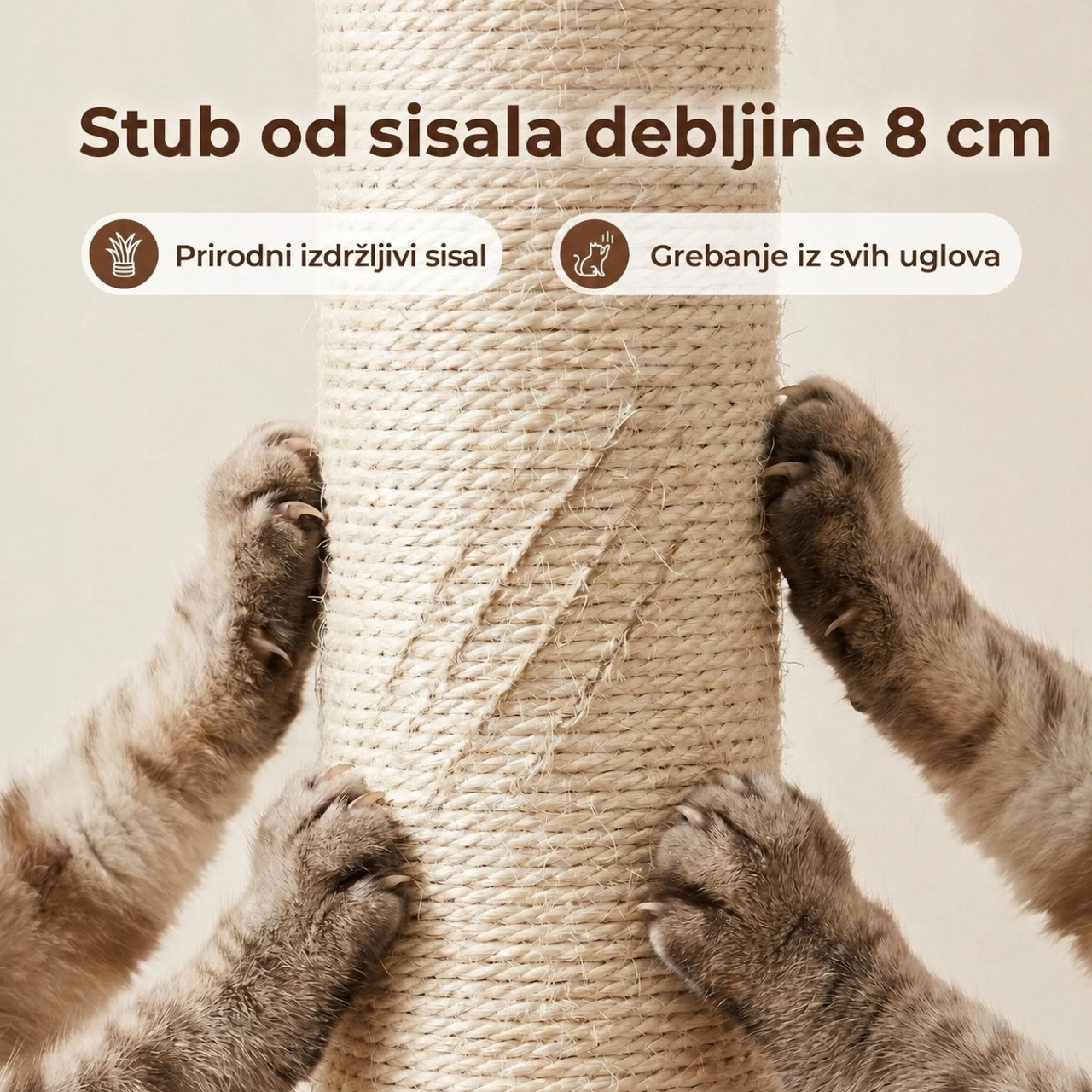 Tropski Raj — prikaz 6 od 7