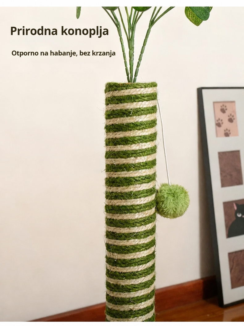 Šumska Zabava — prikaz 2 od 8