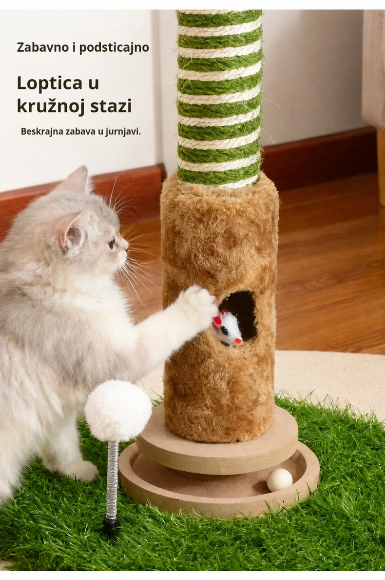 Šumska Zabava — prikaz 3 od 8