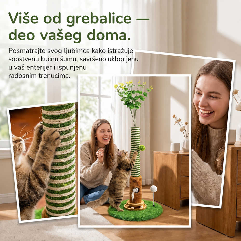 Šumska Zabava — prikaz 5 od 8