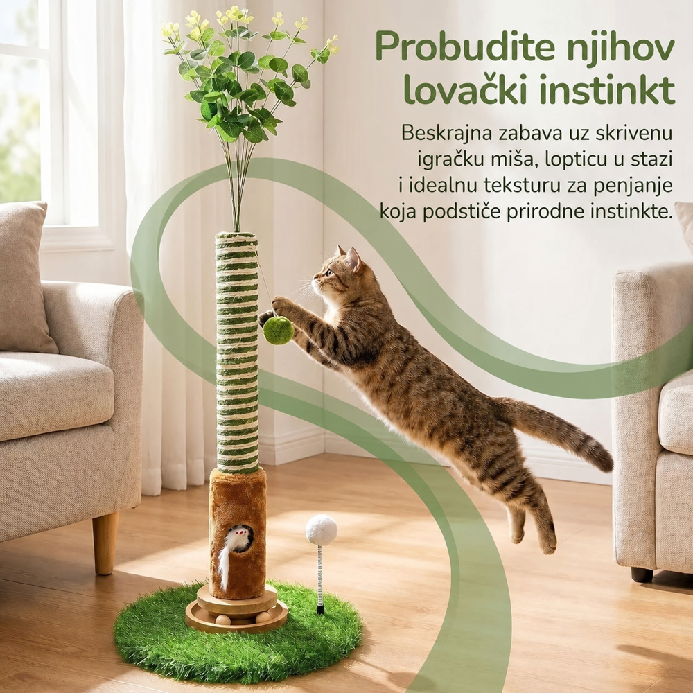 Šumska Zabava — prikaz 6 od 8